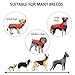 Didog Reflective Dog Winter Coat Sport Vest Jackets Snowsuit Apparel - 8 for Small Medium Large Dogs,Red,4XL Size