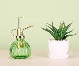 Eidoct Green Gold Glass Plant Mister Spray Bottle 7 Oz 6.5" Top Pump view 4
