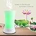 Tenswall Aroma Ultrasonic Essential Oil Diffuser Aromatherapy Cool Mist Humidifier with Relaxing & Soothing Multi-colour LED Light Perfect for Home, Office, Spa, Baby Room Etc