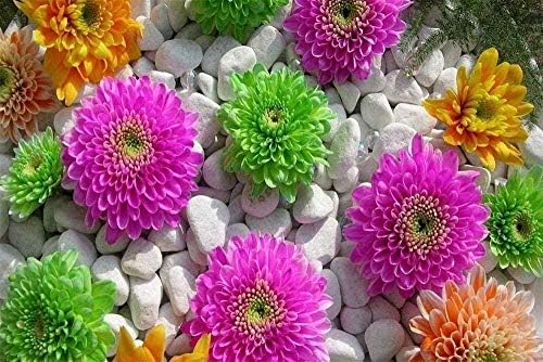 大人1000ピースの玉石色とりどりの花子供のパズルのおもちゃ教育パズルののティーンギフト用子供たちと交流するギフト B08b8j2wqb 2 6円 100 品質保証 Salenew大人気 日本全国 送料無料 セールsale Off 格安saleスタート