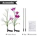 Solar Flower Lights Outdoor, Elfeland Multi-Color Changing Lily Lights LED Solar Garden Lights Upgraded Solar Stake Lights for Path Yard Patio Backyard Decoration(2 Pack,Red and White)