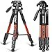 ZOMEI 58'' Compact Light Weight Travel Portable Aluminum Camera Tripod for Canon Nikon Sony DSLR Camera with Carry Case 11 lb Load (Orange)