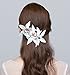 Floral Fall 2 Pack Hawaii Artificial Orchids Flowers Hair Pins Barrette Clips For Beach Luau Party HC-07