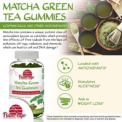 Matcha Green Tea Extract Gummies with EGCG Energy Gummies, Metabolism