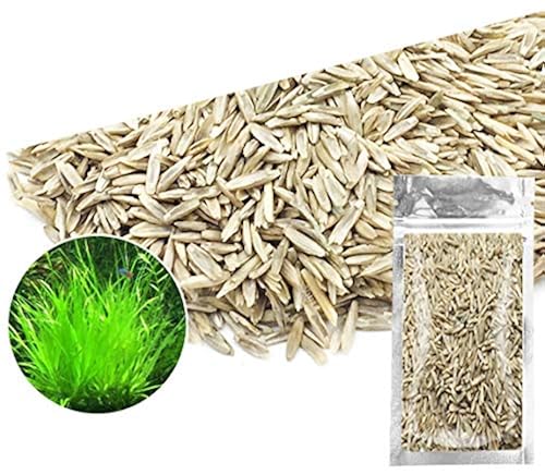 elegoo plant based Plant based resin 1000g