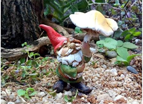 Heliyan Miniature Fairy Garden Dwarf Figurine Home Decor Gifts
