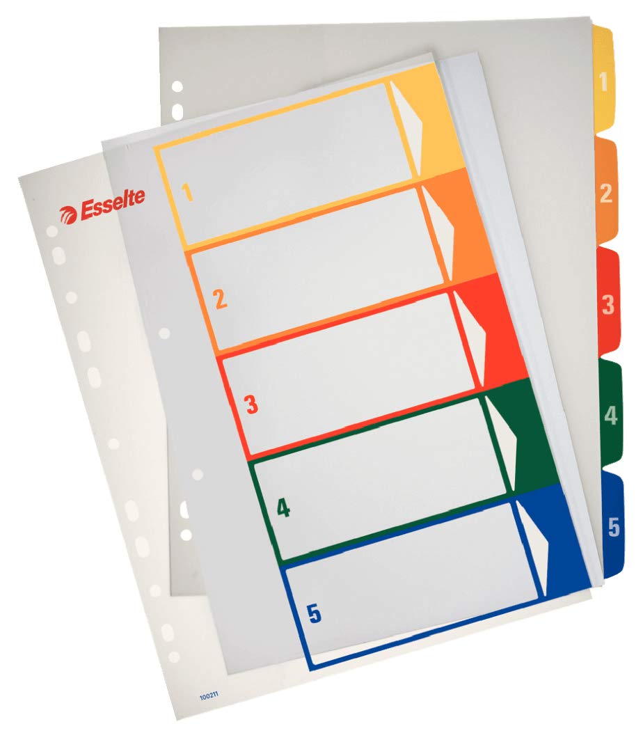 Esselte A4 5 Positions Printable Index Polypropylene
