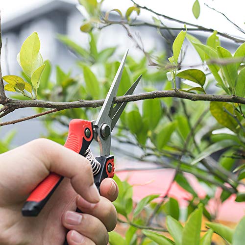 WYF 8.1″Gardening Hand Pruner Pruning Shear with Straight Stainless Steel Blades,Ultra Sharp Multi-Purpose Scissors for Garden Harvesting Fruits & Vegetables,Trimming Flowers and Plants (Red) - Thumbnail 5
