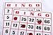 Regal Games Jumbo Party Bingo Set with Jumbo 9 x 8 Easy Read Bingo Cards and Large 12 Inch Rotary Cage