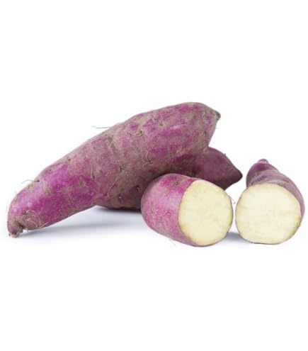 【YAM】 Amazon.com: 2.5 LBS Forest Corner Fresh Japanese Mountain Yam