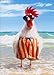 Rooster Wears Swimsuit Funny Birthday Card