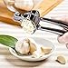 ICCKER Garlic Press with Built-In Cleaner and Large Hopper Garlic Mincer Rust Resistant Zinc Alloy Dishwasher Safe