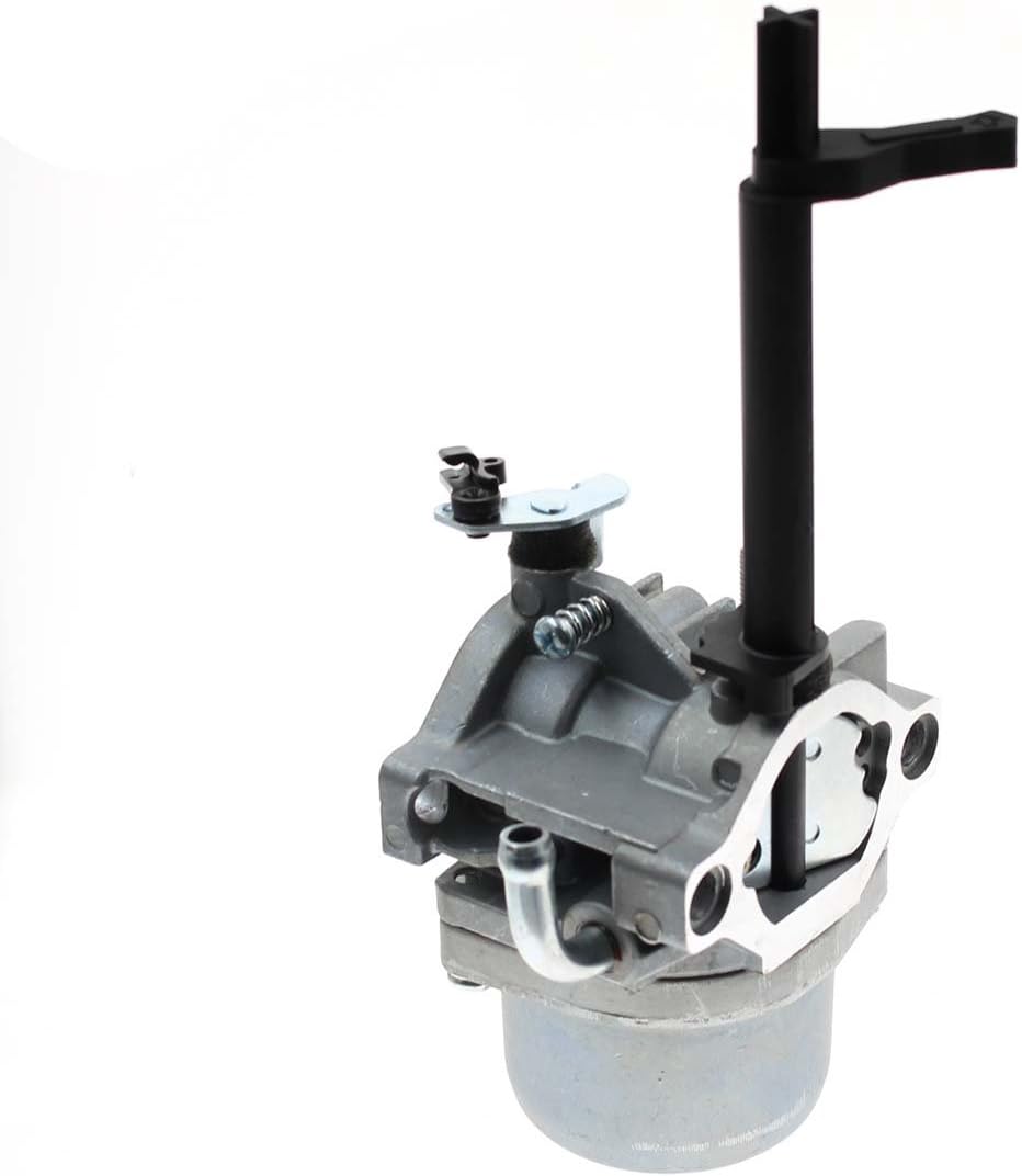 591378 Carburetor for Briggs & Stratton Snowblower 796321 696132 696133 796322 697351 699958 699966 698455 695918 694952 695919 695330 796323 695920 695328 Generator with Gaskets : Garden & Outdoor