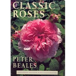 Classic Roses