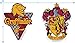 Harry Potter Gryffindor House Crest Youth T Shirt & Stickers (Large) Black
