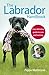 The Labrador Handbook: Your Definitive Guide to Care and Training by Pippa Mattinson