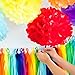 Bobee Rainbow Party Decorations 42 Piece Rainbow DIY Pom Poms and Tassel Garland