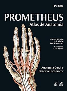 Livro Coleção - Atlas de Anatomia 3 Volumes