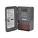 TORK SA306 40 Amp 120-Volt Double-Pole Zip Set Industrial Timer