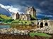 Buffalo Games - Majestic Castles - Eilean Donan - 750 Piece Jigsaw Puzzle Gray, Green,yellow, 24