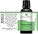 Plant Therapy Peppermint Essential Oil 30 mL (1 oz) 100% Pure, Undiluted, Natural Aromatherapy for Diffuser & Topical Use, Relaxation, Digestion, Respiratory, & Massage, Peppermint Oil for Skin & Hair