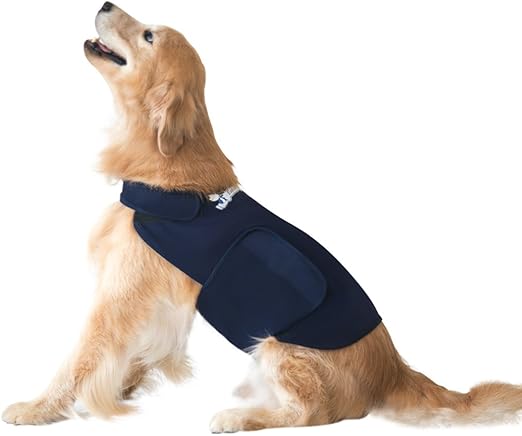 northridge veterinary