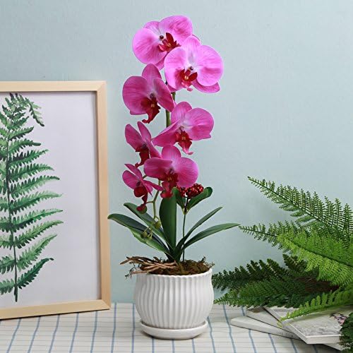 GBHNJ Immortal Butterfly Orchid False Decor Sets Artificial Big Rose Red