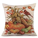 Throw Pillow Covers,HP95(TM) 18