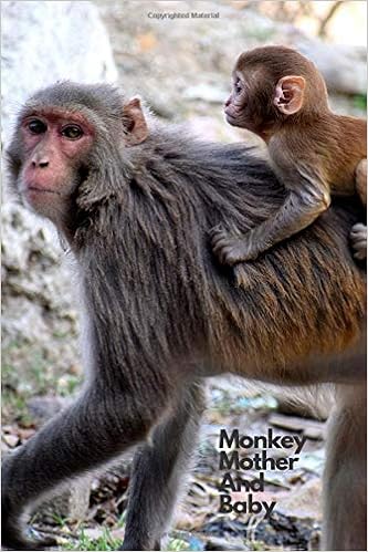 Monkey Mother And Baby Notebook With Animals For Kids Notebook For Drawing And Writing 110 Pages Unlined 6 X 9 Animal Notebook Notebook Animal Journals Notebooks Amazon Com Books