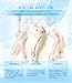 Painless Depilatory Cream Legs for Hair Removal Men and Women for Armpit Legs Smooth & Painless
