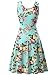 FENSACE Women's A Line Sleeveless Flare Holiday Dress,18016-16,Small