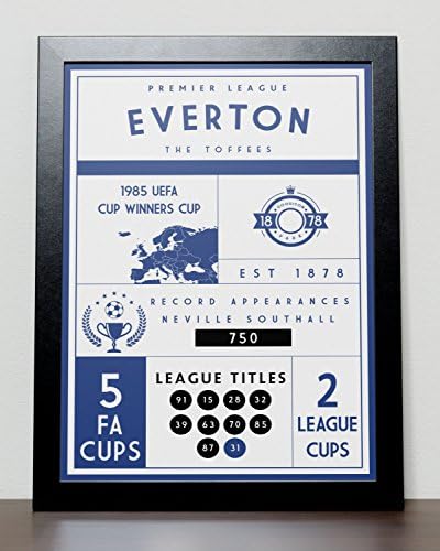 Everton FC Statistics Poster