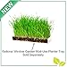 BOGO Window Garden Microgreen Organic Wheatgrass 3 Set Refill – Use with Grow n Serve Kit, Multi-Use 15” x 6” Planter Tray, Pre-Measured Soil + Seed. Easy and Convenient, Sprout 3 Crops of Superfood.