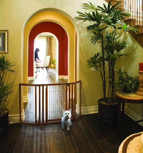 Richell Premium Plus Freestanding Pet Gate with Door