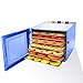 Food Dehydrator Machine, 6 Drying Racks, Stainless Steel Food Preserver, BPA Free