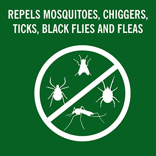 Coleman Insect Repellent Spray 25 DEET Insect Repellent Spray