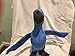 Kohl's Cares - Rio 2 - Blu - Bird Plush Stuffed Animal
