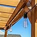 Brightech Ambience Pro Vintage Outdoor String Lights - 48 Ft Weatherproof Commercial Grade Edison Market Cafe Bistro Waterproof Light Strand for Patio Garden Porch Backyard Party Yard – Black