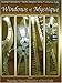 Windows of Mystique - Stained Glass (Studio Designer Series) by 