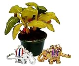 Couple Charm Lucky Elephants Key chain with Hidden Pill Box Locket Gold Silver
