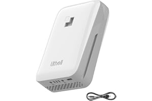 LiTHELi Battery Pack 4.0Ah,20V Replacement Lithium Batteries U20 Power Tools and Outdoor Power Equipment