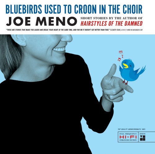 "Bluebirds Used to Croon in the Choir - Stories" av Joe Meno