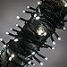 Kringle Traditions Cool White LED Christmas Mini String Light Set, 50 Lights, 17 ft Indoor/Outdoor LED White Lights Outdoor Tree Lights Christmas String Wedding Party Decorations, 4 Spacing