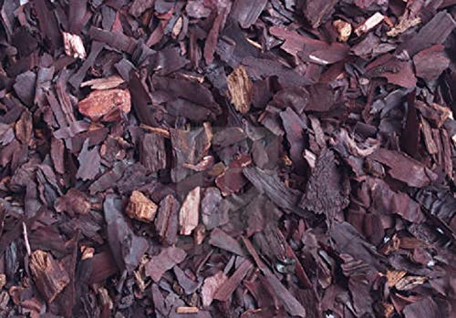 OMG Deals Ratanjot (Alkanna/Alkanna tinctoria) 100gm - Treat Skin & Scalp Infections - Reduce Inflammation - Anti Acne & Anti Aging