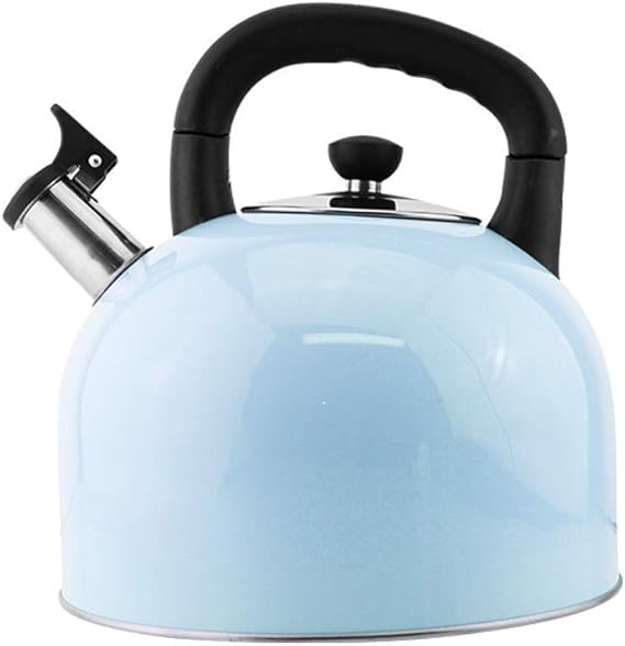 Stove Top Whistle Kettle Stainless Steel 45l Nozzle Kettle Modern