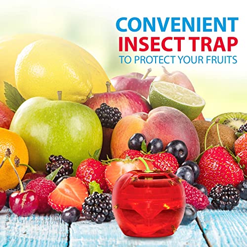 Raid Fruit Fly Trap Bundle, Set of 3 2Pack Apple Fruit Fly Catcher