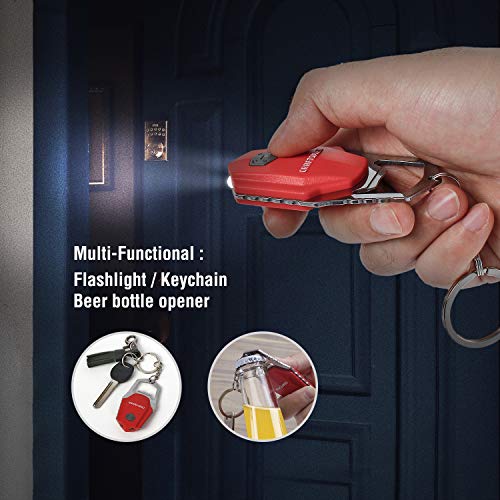 Craftsman Penlight and Keychain Flashlight Combo Kit, 2pack LED Pen