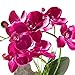 Imiee Artificial Phaleanopsis Arrangement with Vase Decorative Orchid Flower Bonsai (Purple)