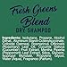 Aveeno Fresh Greens Blend Sulfate-Free Dry Shampoo Spray with Rosemary, Peppermint & Cucumber to Thicken & Nourish, Volumizing Dry Shampoo for Thin or Fine Hair, Paraben & Dye-Free