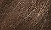 Naturtint 6G Dark Golden Blonde Permanent Hair Color (Pack of 6), Ammonia Free, Vegan, Cruelty Free, up to 100% Gray Coverage, Long Lasting Results (Packaging may vary)